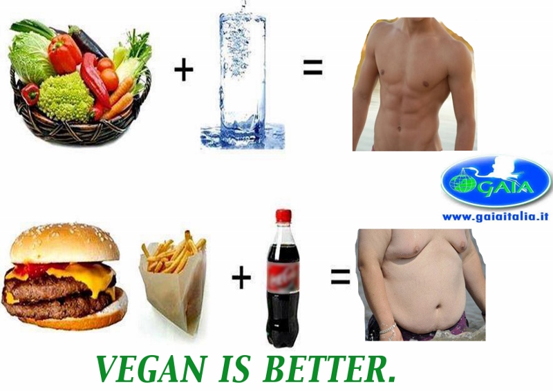 gaia - vegan is better 800x566